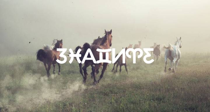 Година на Огнения кон: създаване на динамика и практикуване на проницателност