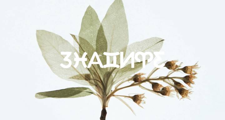 Седмичен хороскоп: 11 май 2026 до 17 май 2026-Чувствена красота